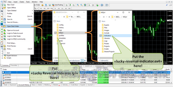 Lucky Reversal MT4 Indicator Installation